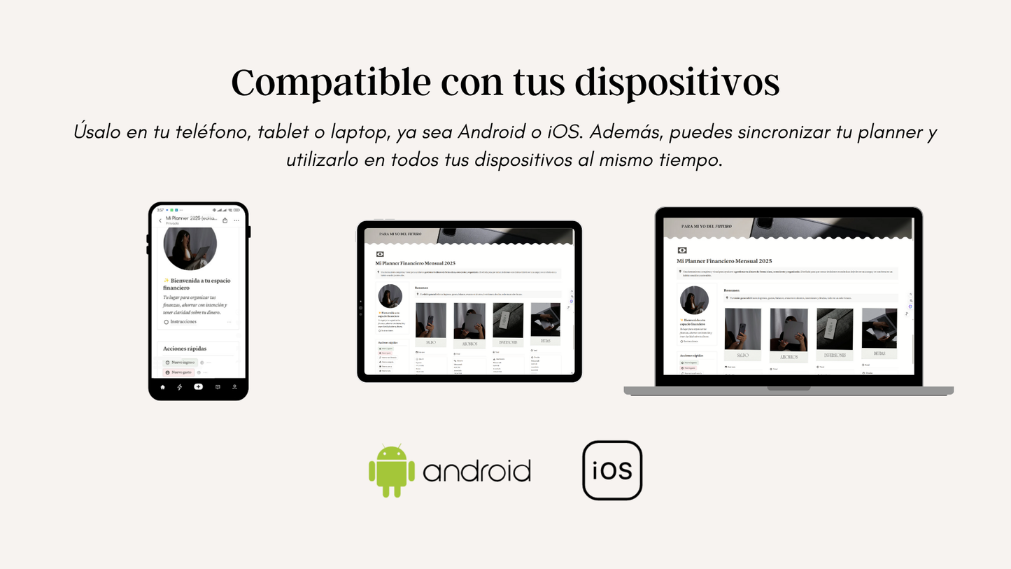 Planner Financiero Mensual en Notion