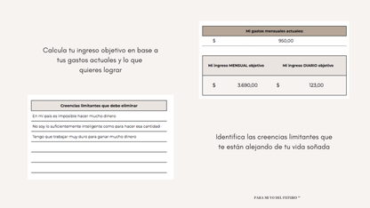 Planner De Manifestación