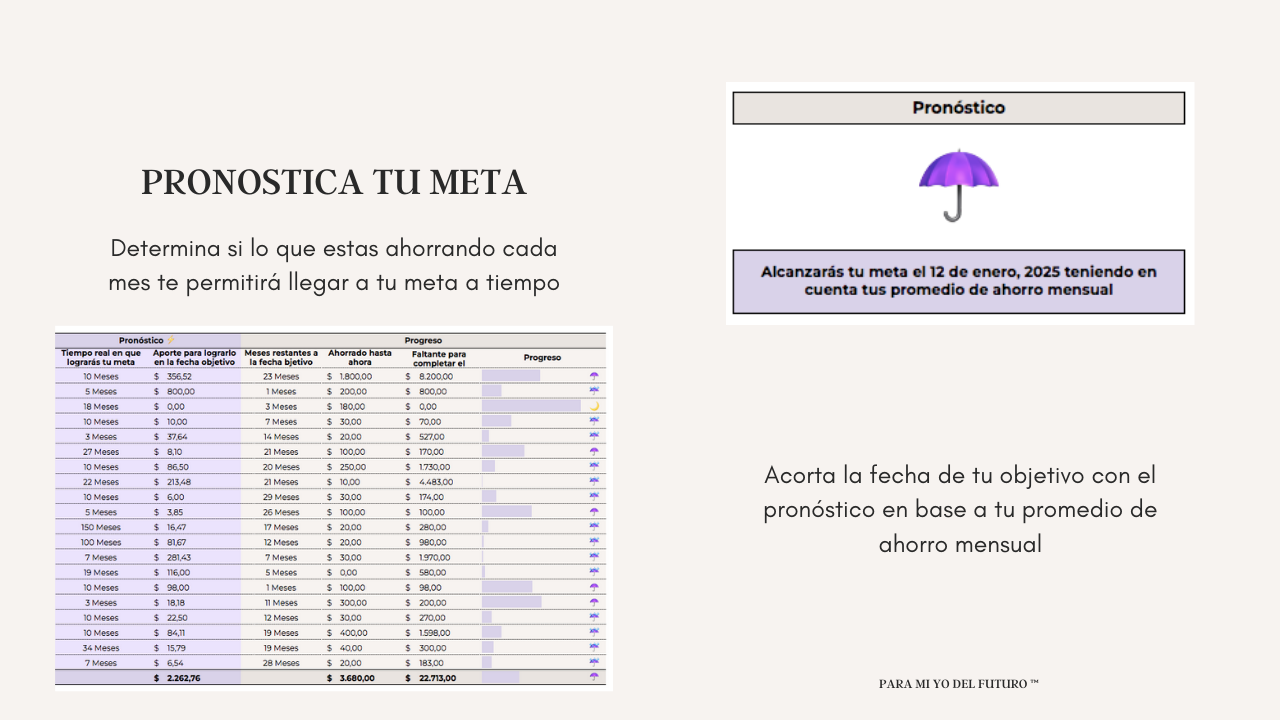 Planner Fondo de Ahorros Lila